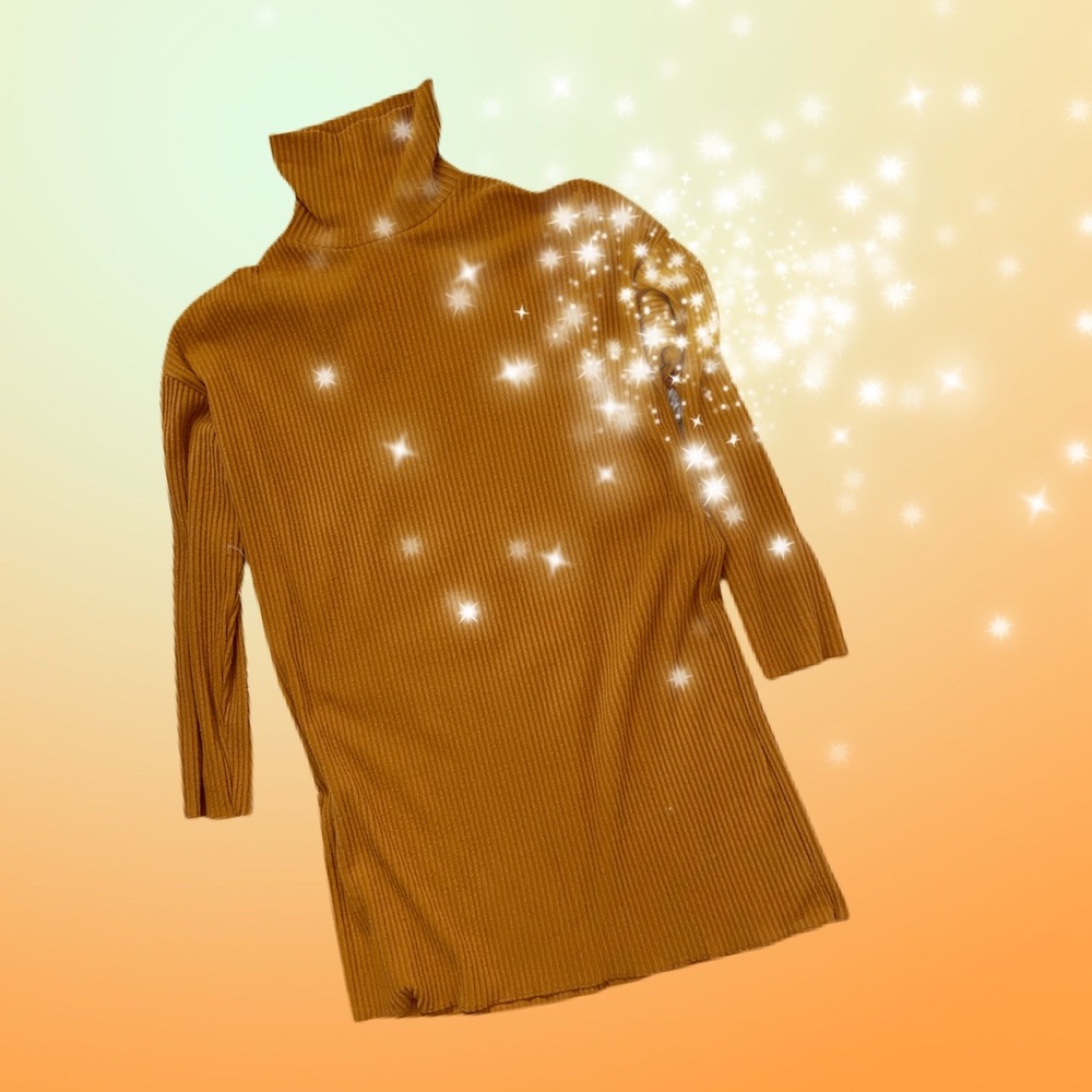 Turtleneck Mini Dress